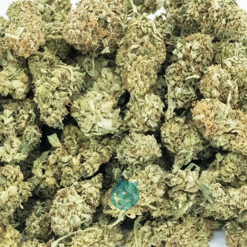 hawaiian golden pineapple aa wholesale