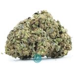 little dirty secret a nug