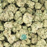 little dirty secret a wholesale