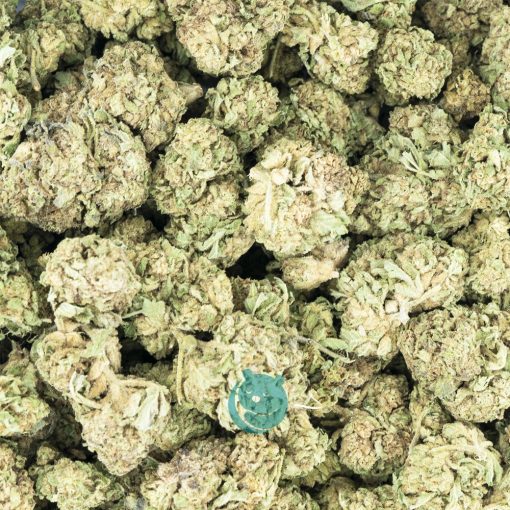 little dirty secret a wholesale