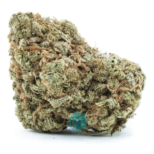 Money Maker AA - Indica
