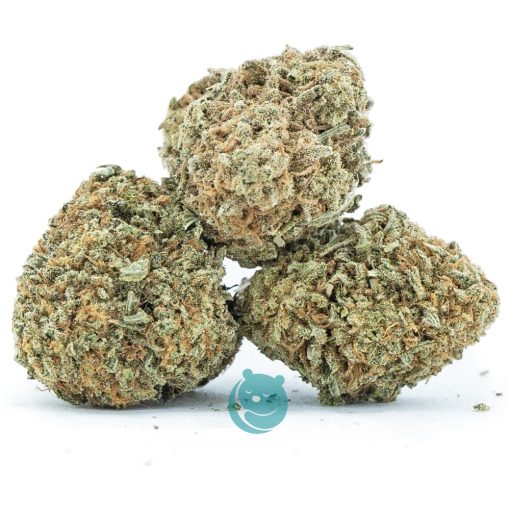 money maker aa three nug