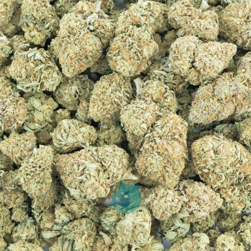 Wholesale - Money Maker - AA