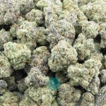 nyc diesel aaaa wholesale