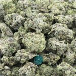 Wholesale - Pink Pez - AAA