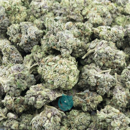 Wholesale - Pink Pez - AAA