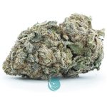 purple kush aa nug