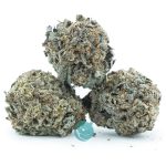 purple kush aa three nug