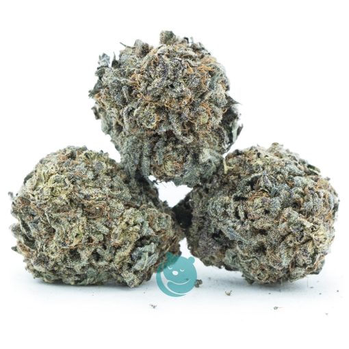 purple kush aa three nug