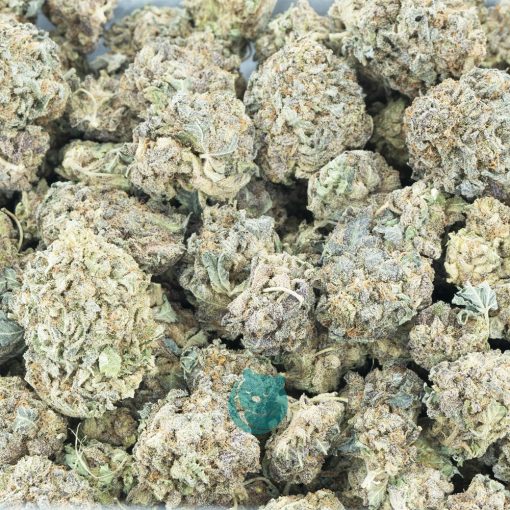 purple kush aa wholesale