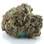 purple panty dropper craft nug