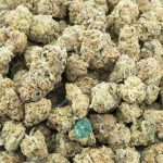 rainbow runtz aaaa wholesale