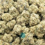 razzleberry kush aaaa wholesale