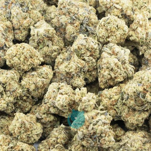 razzleberry kush aaaa wholesale