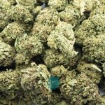 Wholesale - Sin Valley OG - AA