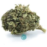 Sonoma Coma A - Sativa