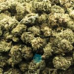 Wholesale - Sonoma Coma - A