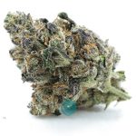 Star Pebbles AAAA - Sativa