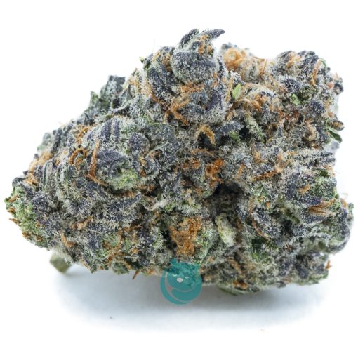 Sugar Biscuit Craft - Indica