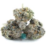 sugar biscuit craft three nug