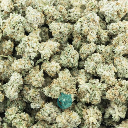 Super Lemon MAC AAAA Popcorn - Sativa