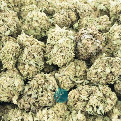Wholesale - Superglue OG - A