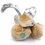 Shrooms - Great White Monsters