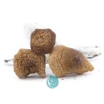 hawaiian magic shrooms three