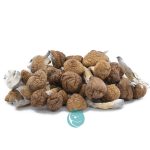 hawaiian magic shrooms wholesale
