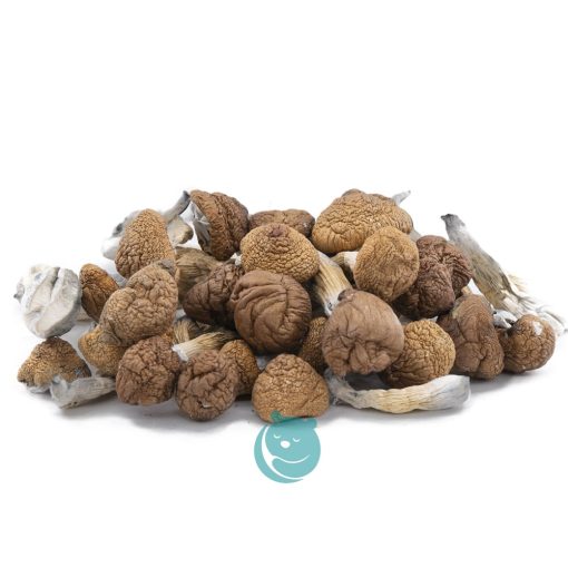 hawaiian magic shrooms wholesale