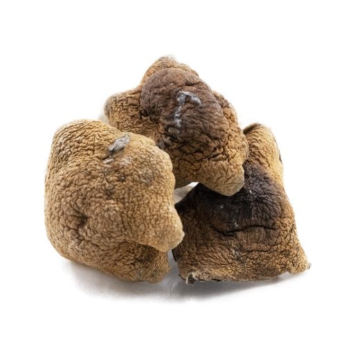 Shrooms - Mexicana