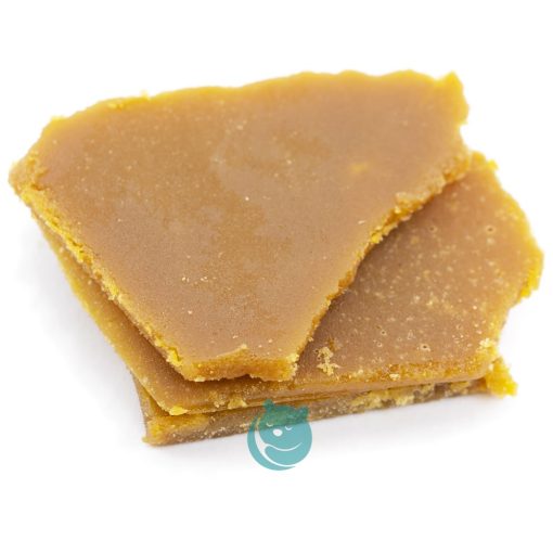 peyote purple budder cropped
