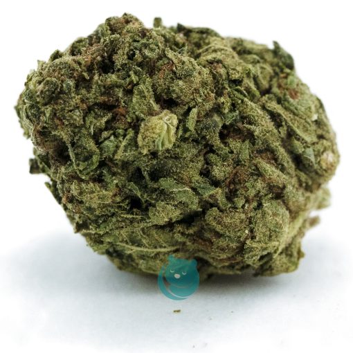 Bahama Blizzard A - Indica