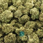 bahama blizzard a wholesale