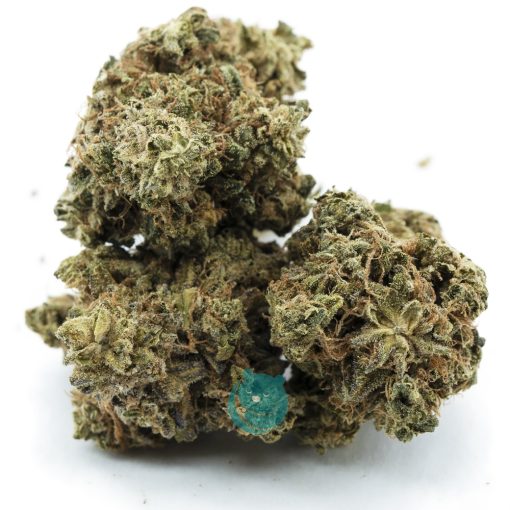 blueberry lambsbread a three nug