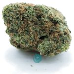 blueberry sinmint aaaa nug