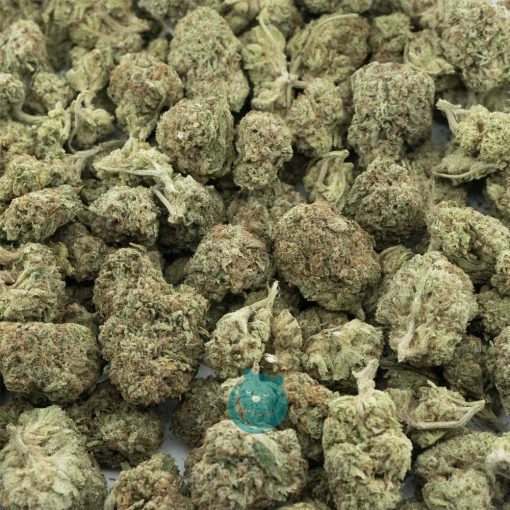Wholesale Popcorn - Durban Princess - AA