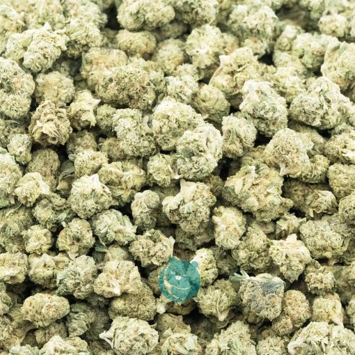 gelato41 popcorn aaa wholesale