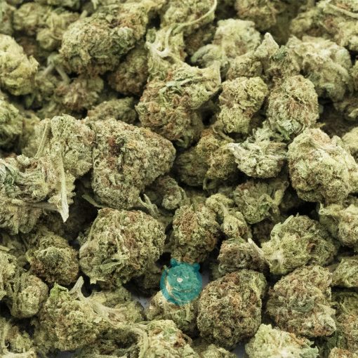 green apple og popcorn aa crop