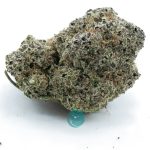 jungle cake aaa nug