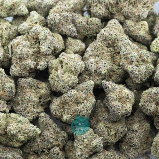jungle cake aaa wholesale
