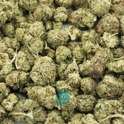 Lemon Tag AA Popcorn - Sativa
