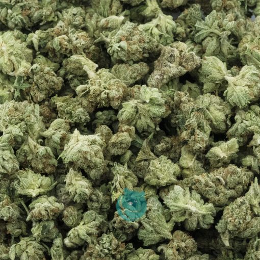 motor breath popcorn aaaa crop