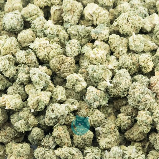 Sunset Haze AAA Popcorn - Hybrid
