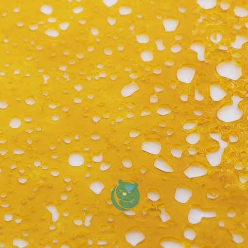 blue magoo shatter crop