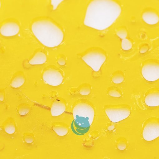 florida sundae shatter crop