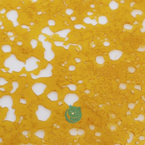 jamaican haze shatter crop