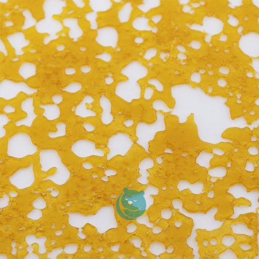 papaya sorbet shatter crop