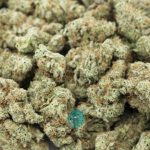 Wholesale - Afghani Wonder - AAA