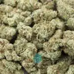 Wholesale - Afghani Wonder - AAA